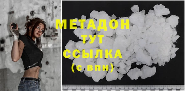 индика Калининец