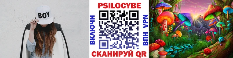 где найти наркотики  маркетплейс состав  OMG как войти  Псилоцибиновые грибы ЛСД  Шахты 