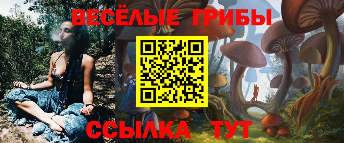 Шахты  Псилоцибиновые грибы MAGIC MUSHROOMS  Галлюциногенные грибы прущие грибы  купить наркотики сайты  Вход с VPN 
